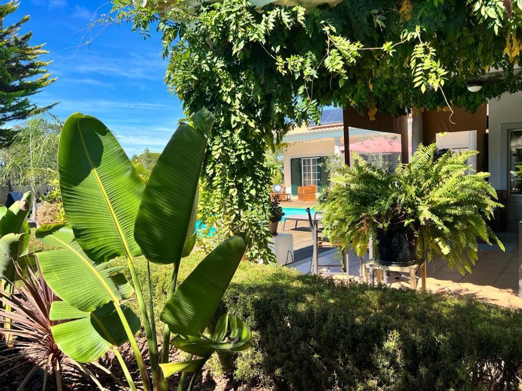 Buganvilias Do Meco Guest House Sesimbra Kültér fotó