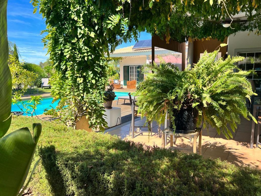 Buganvilias Do Meco Guest House Sesimbra Kültér fotó